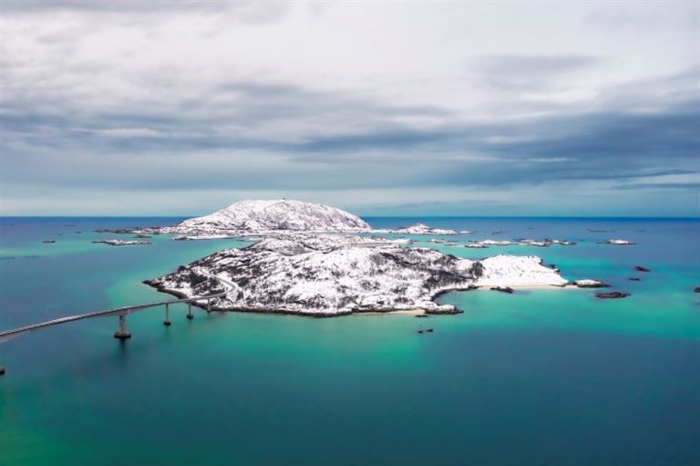 Aurora Borealis meets Wildlife @Bavaro/istock